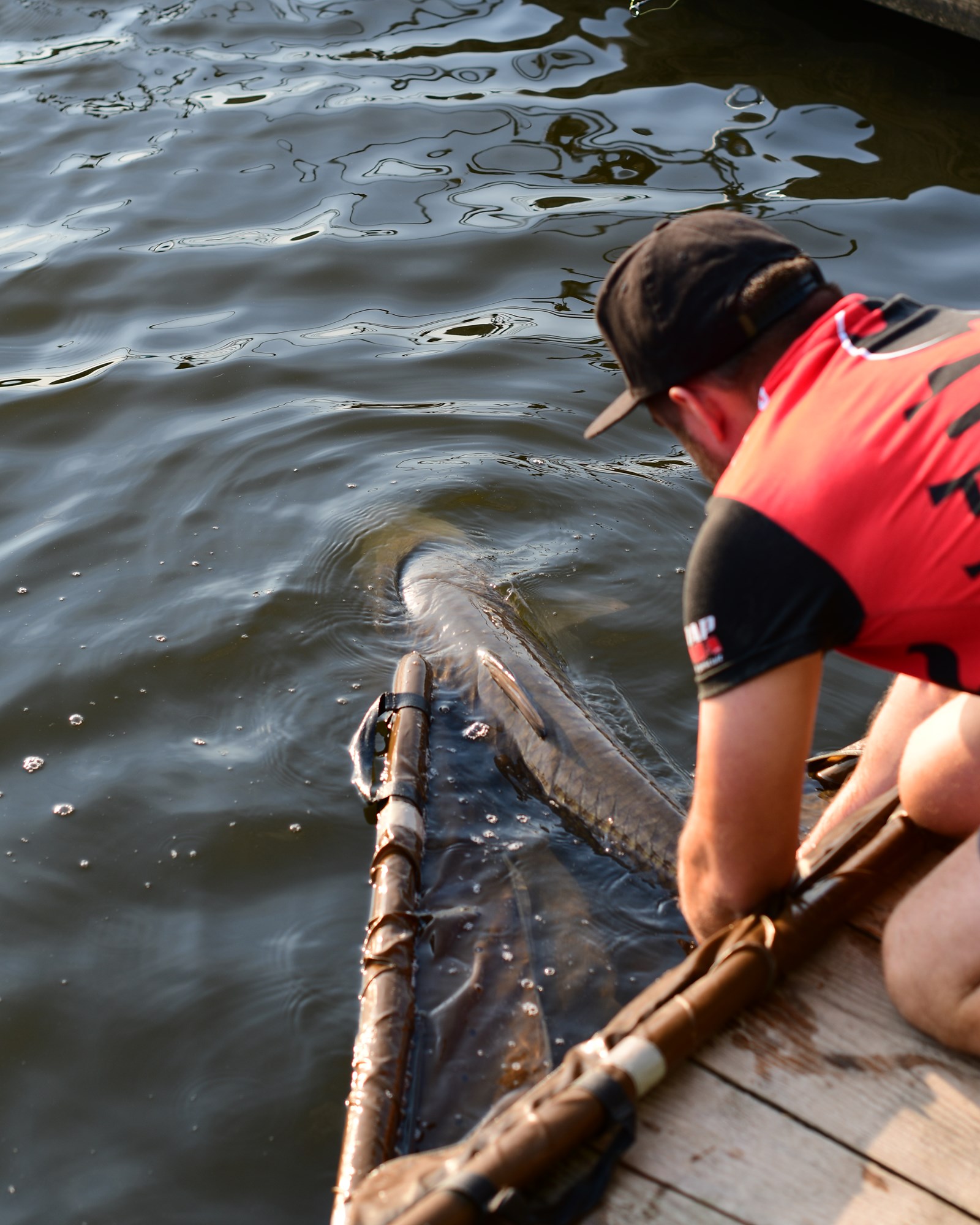 Tancabesti 5 august 2022 - DSC7873.jpg